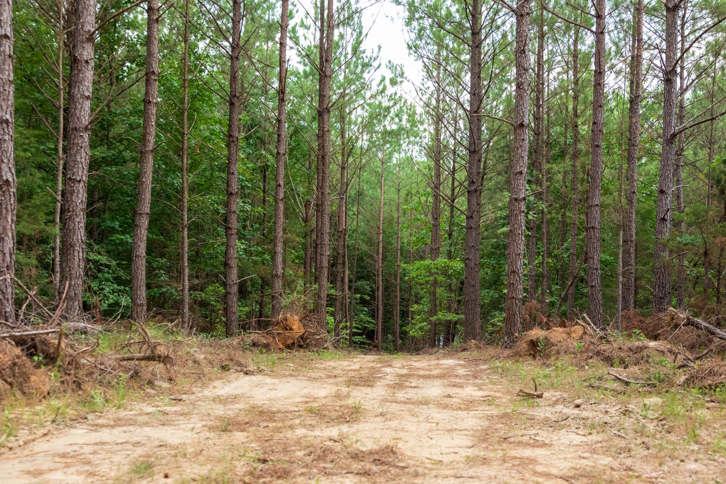 Whiskey Ridge Tract 65 photo 7