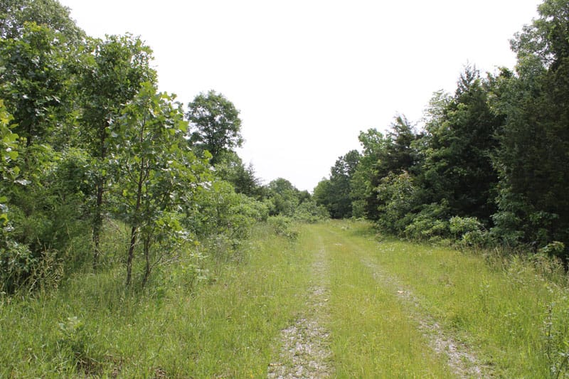 Cedar Ridge Ranch Tract 31 photo 1
