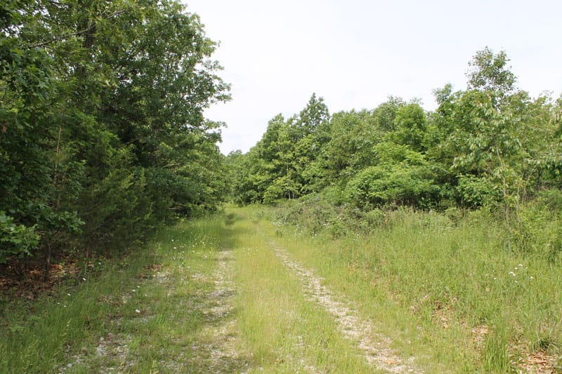 Cedar Ridge Ranch Tract 31 photo 3