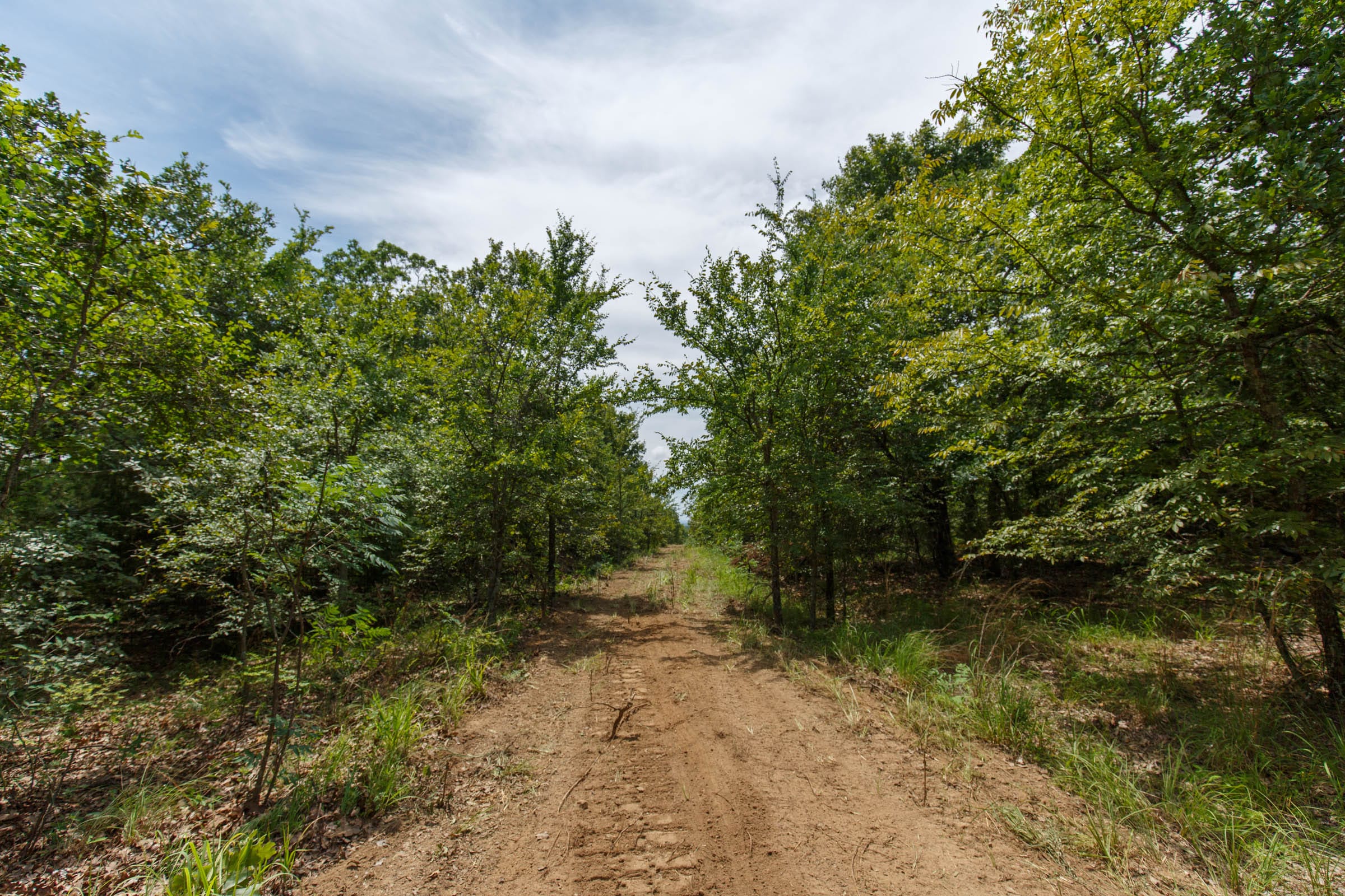 Timber Ridge Tract 1 photo 1