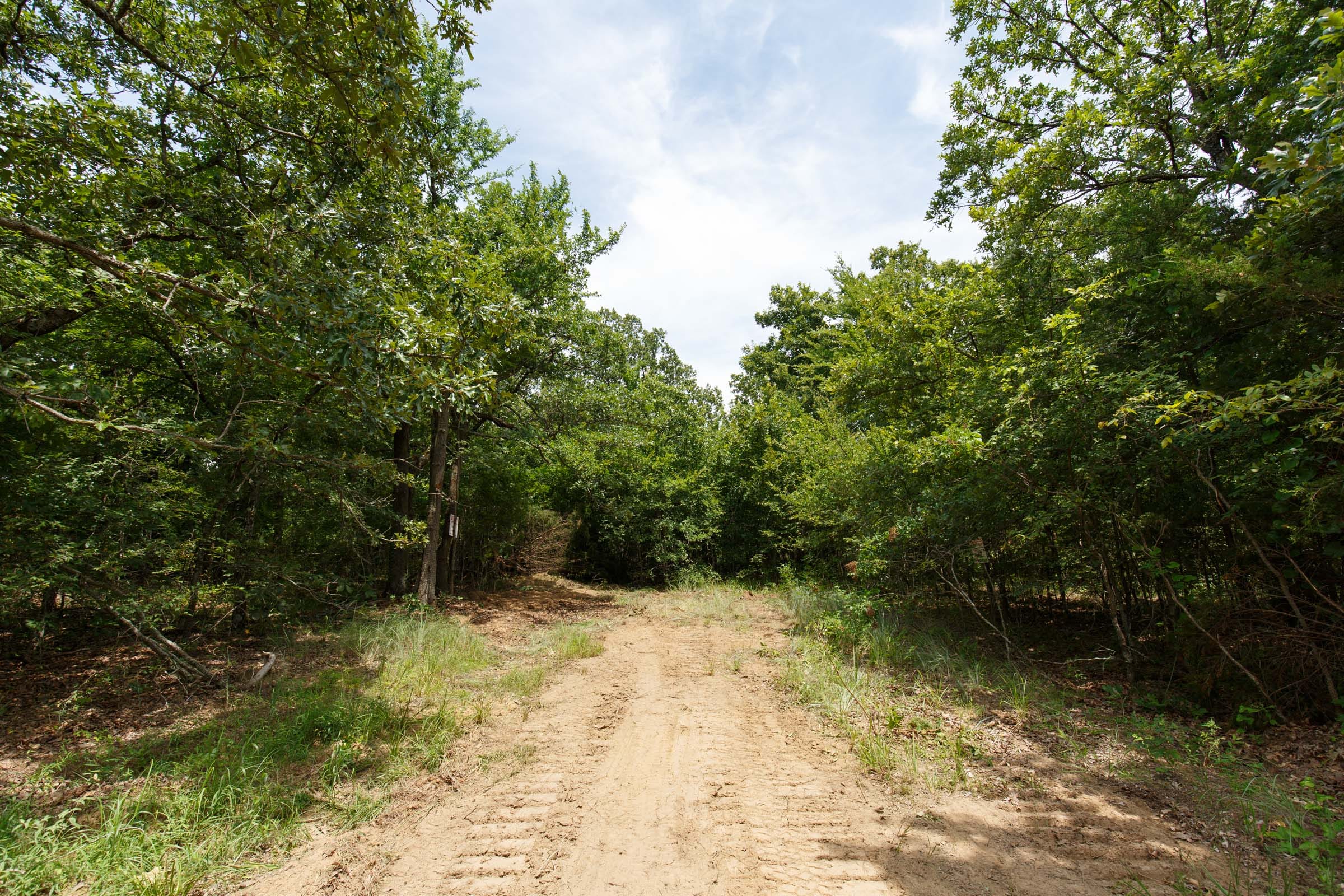Timber Ridge Tract 1 photo 5
