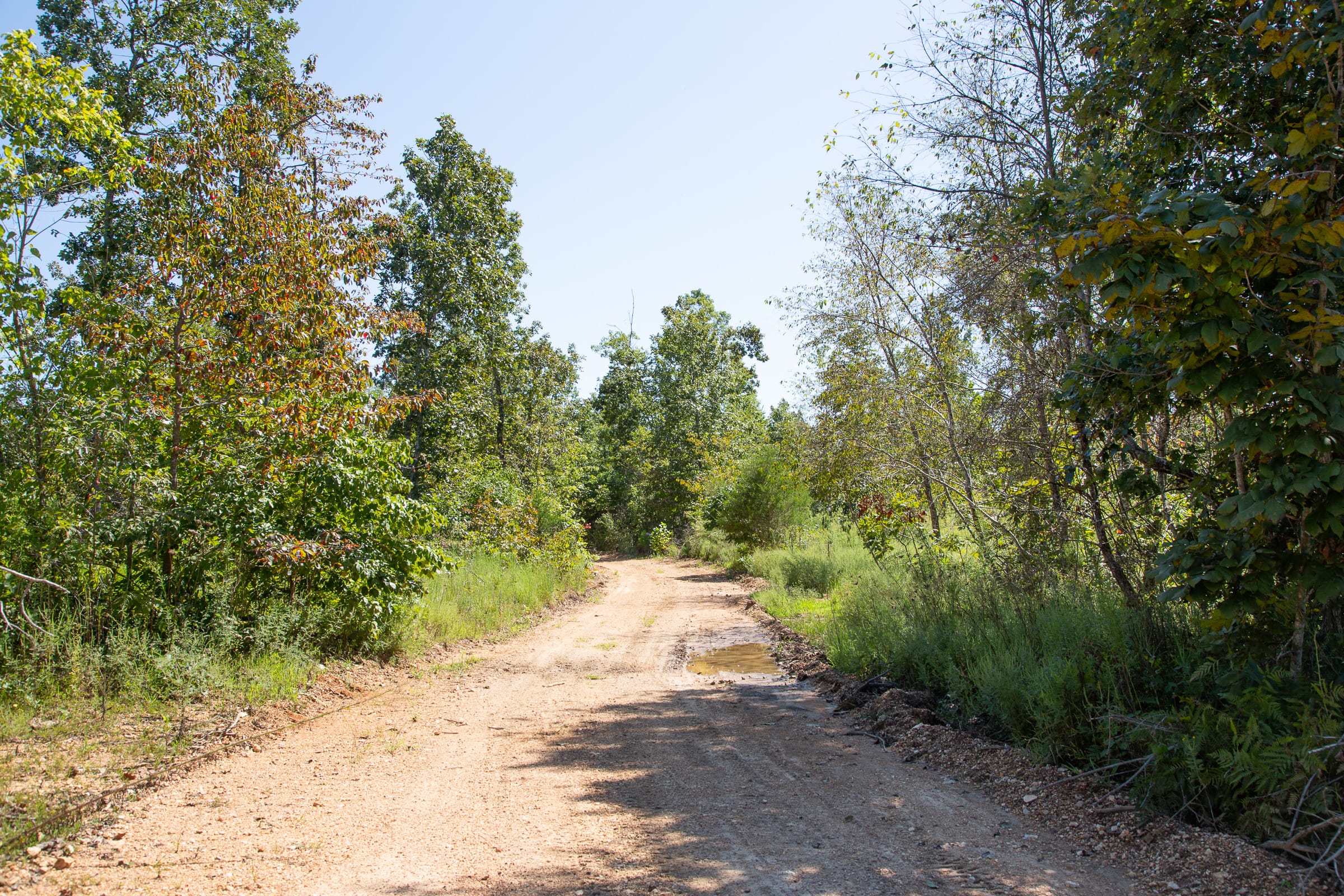 Borgmann’s Hollow Phase III Tract 83 photo 2