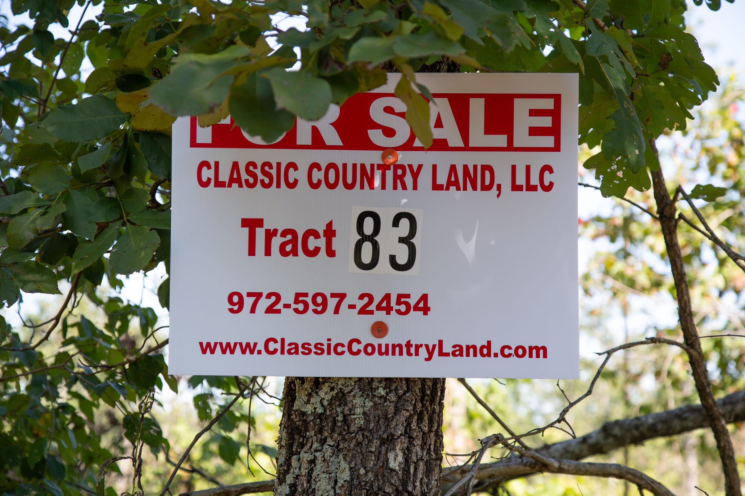 Borgmann’s Hollow Phase III Tract 83 photo 1