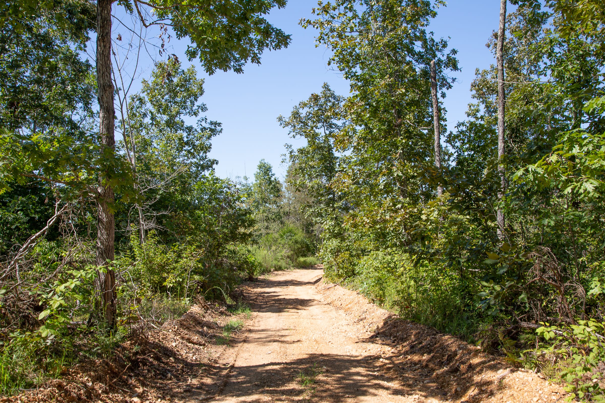 Borgmann’s Hollow Phase III Tract 83 photo 7