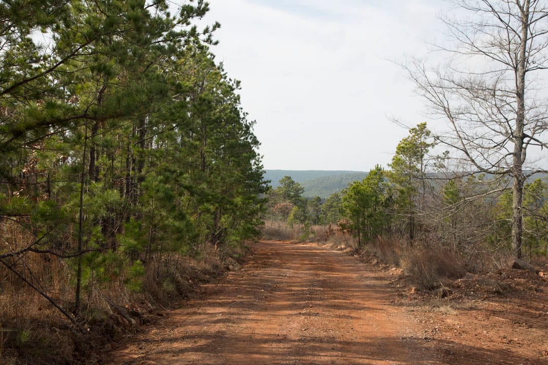 Stone Creek Phase III Tract 69 photo 2
