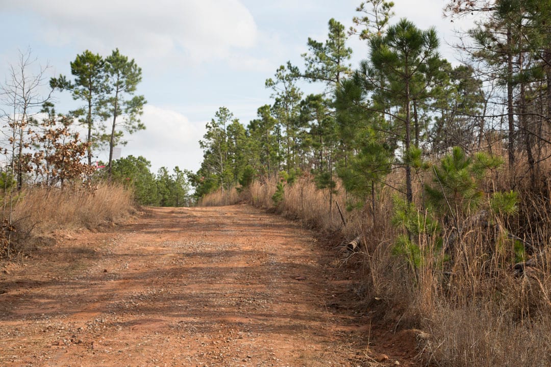 Stone Creek Phase III Tract 69 photo 3