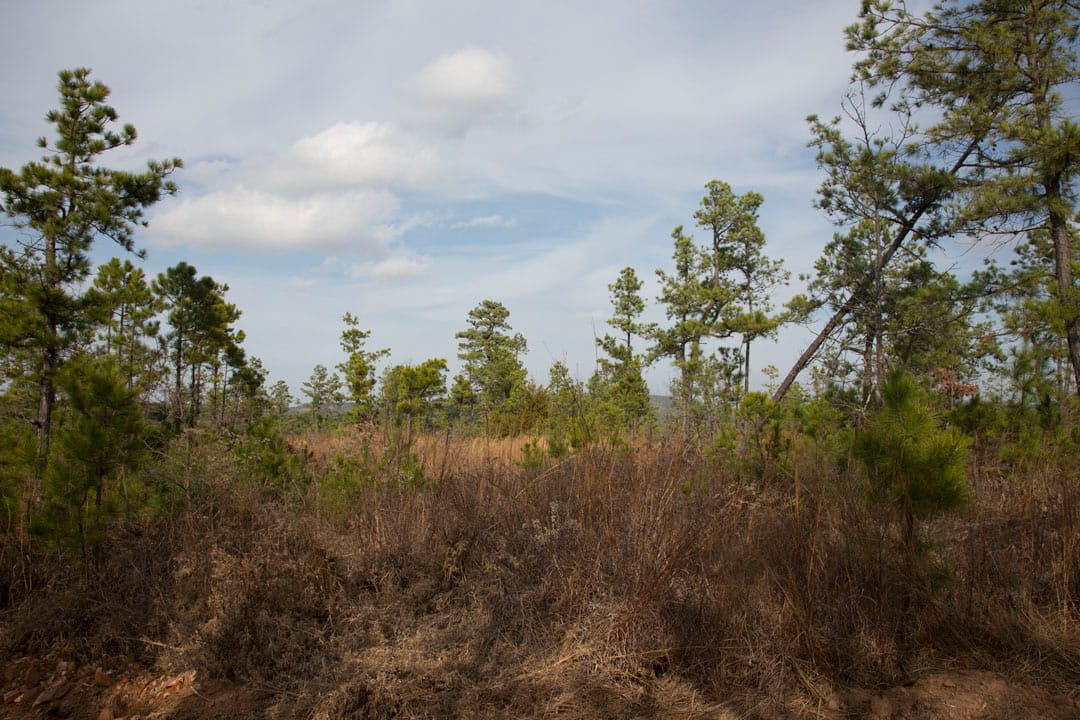 Stone Creek Phase III Tract 69 photo 5