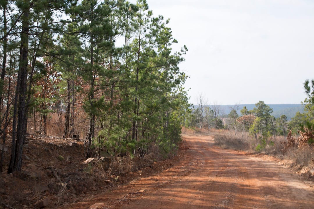 Stone Creek Phase III Tract 69 photo 6