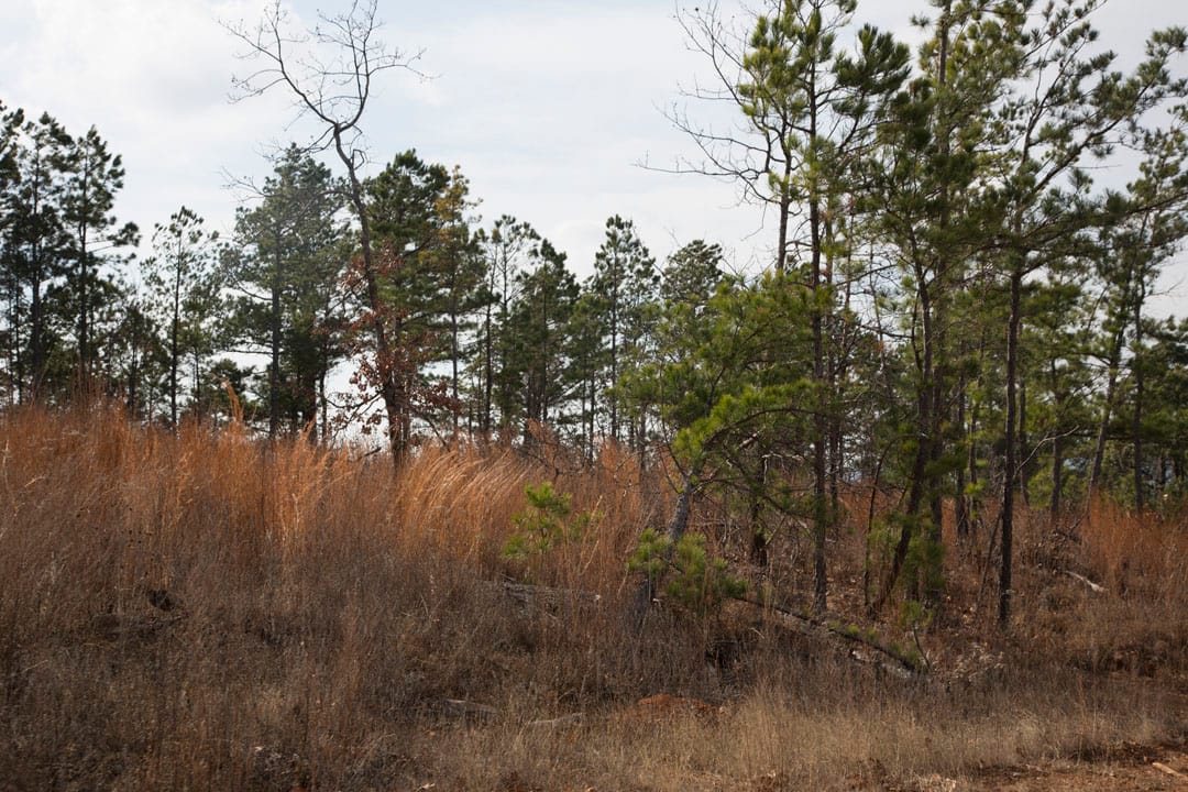 Stone Creek Phase III Tract 69 photo 7