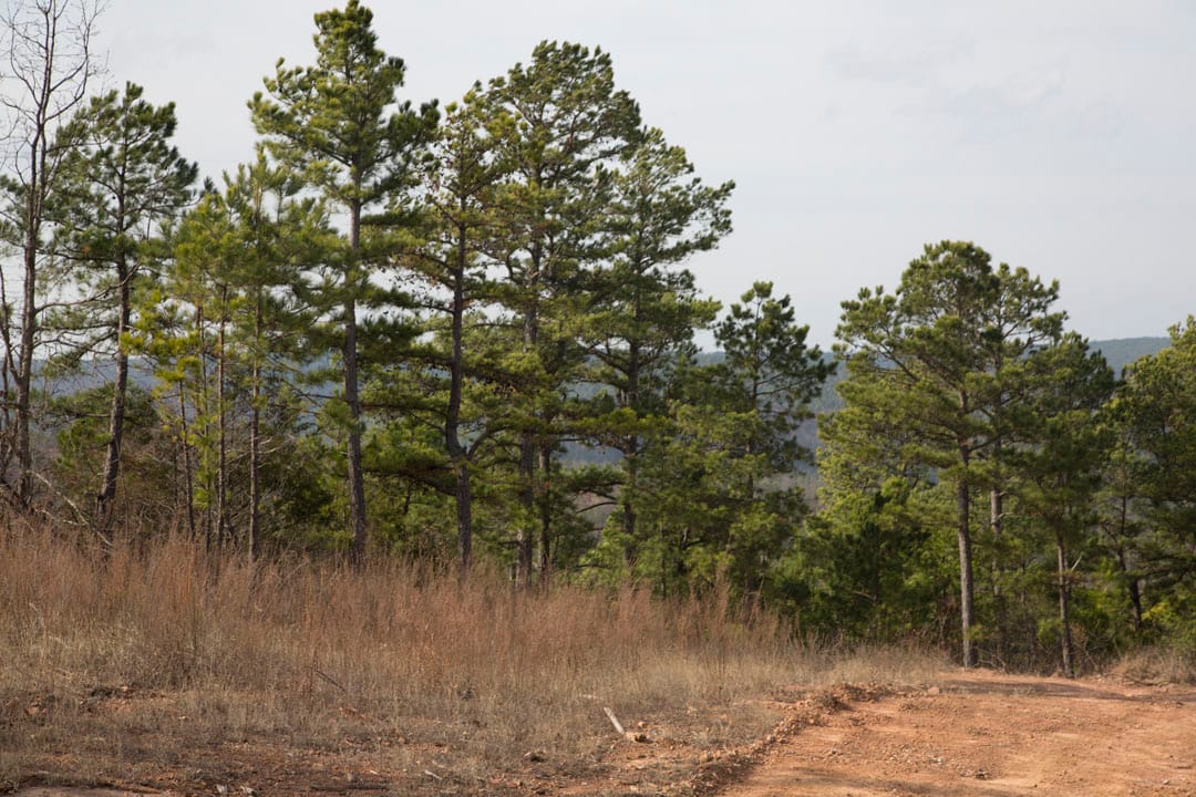 Stone Creek Phase III Tract 69 photo 8