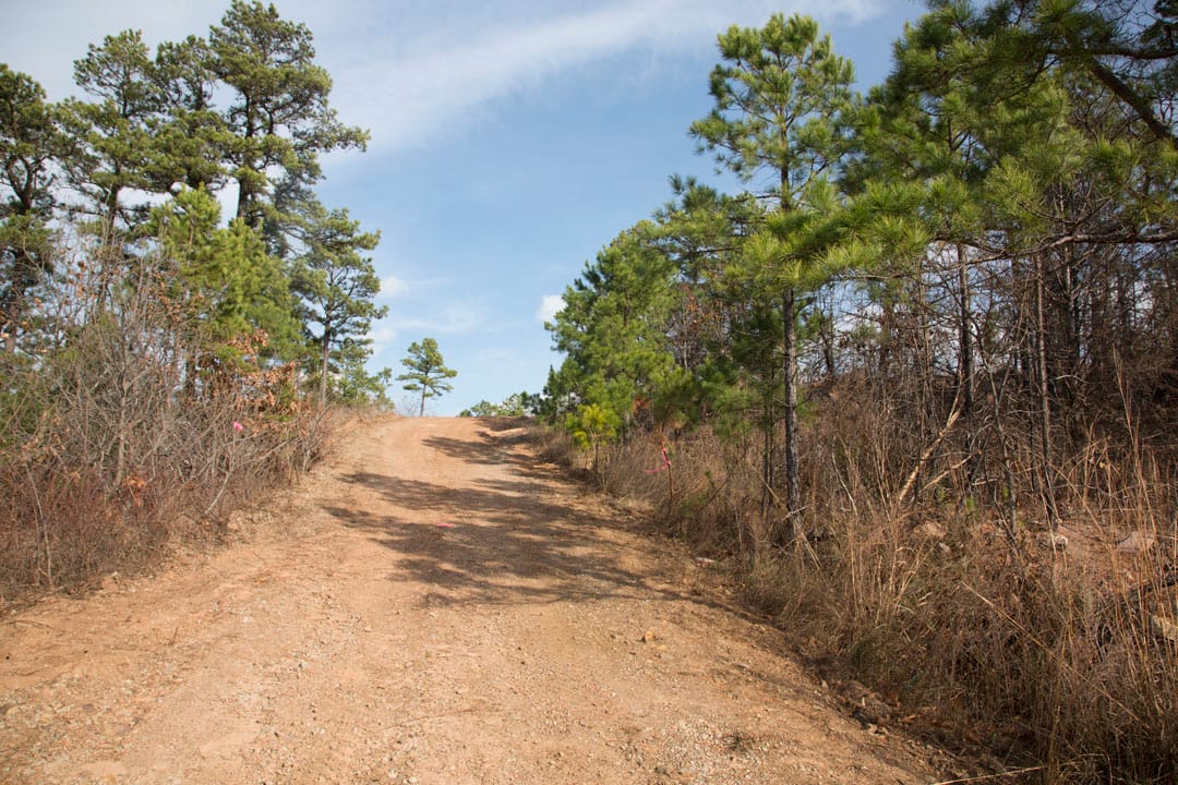 Stone Creek Phase III Tract 69 photo 9