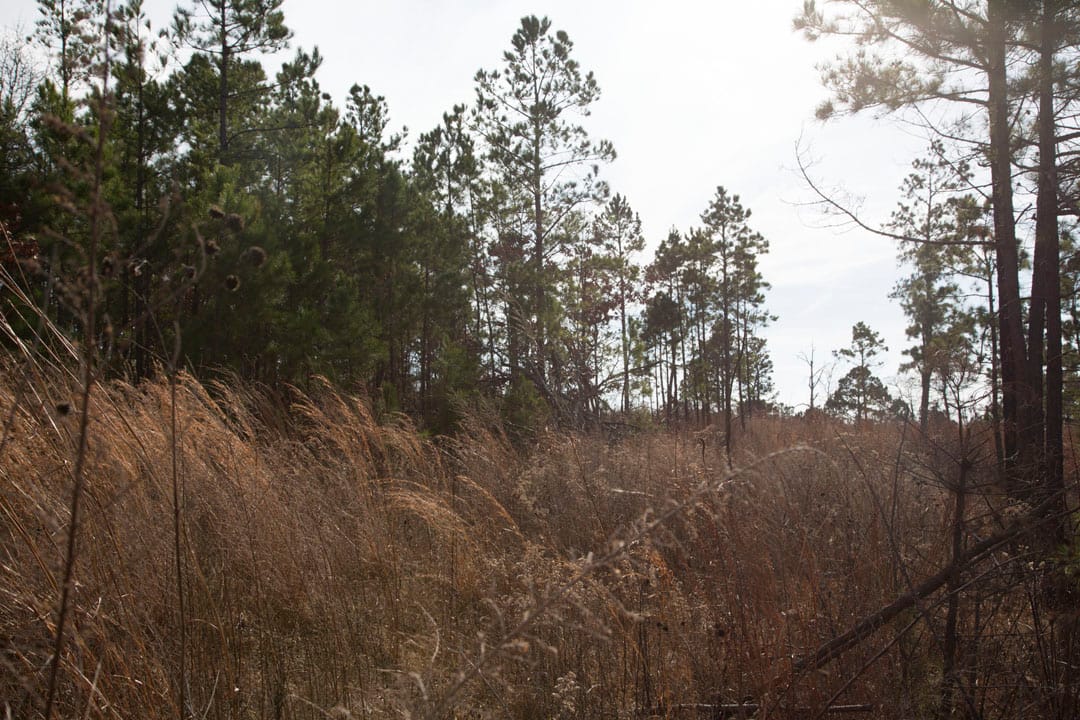 Stone Creek Phase III Tract 69 photo 10