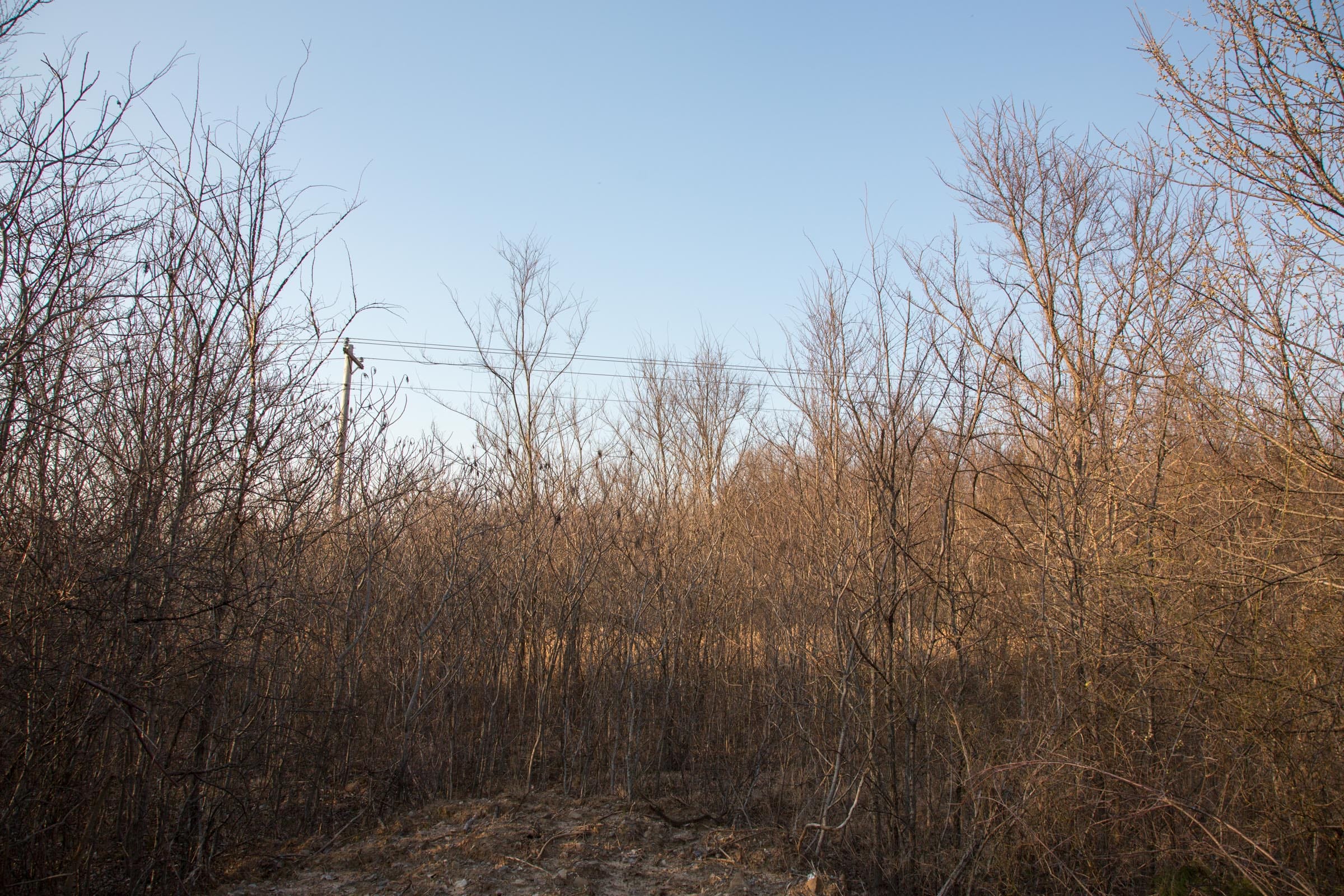 Eufaula Cove Tract 12 photo 2