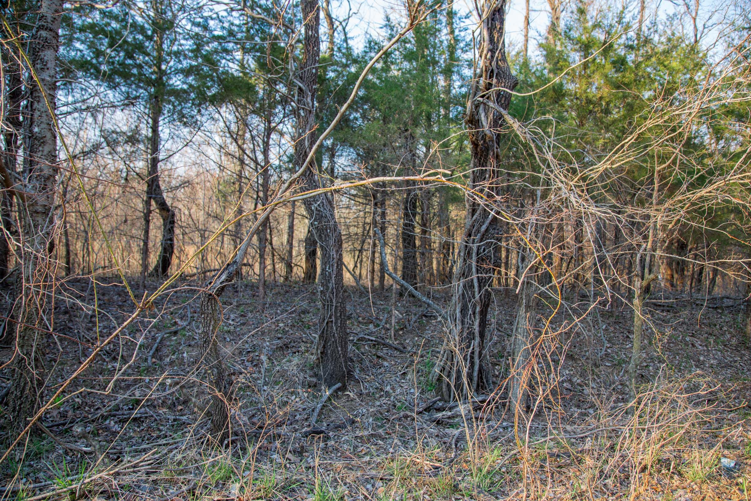 Eufaula Cove Tract 12 photo 6