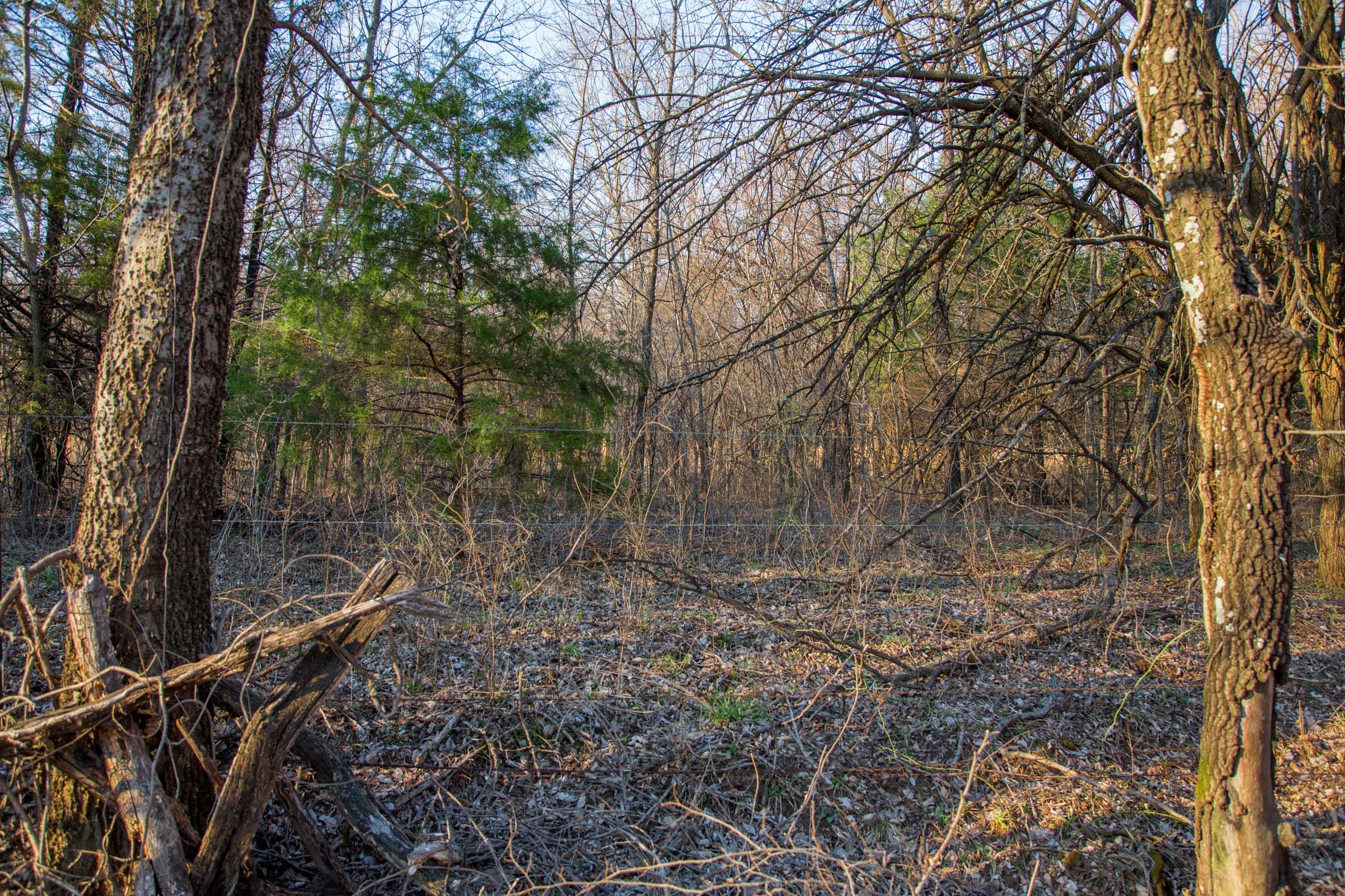 Eufaula Cove Tract 12 photo 9