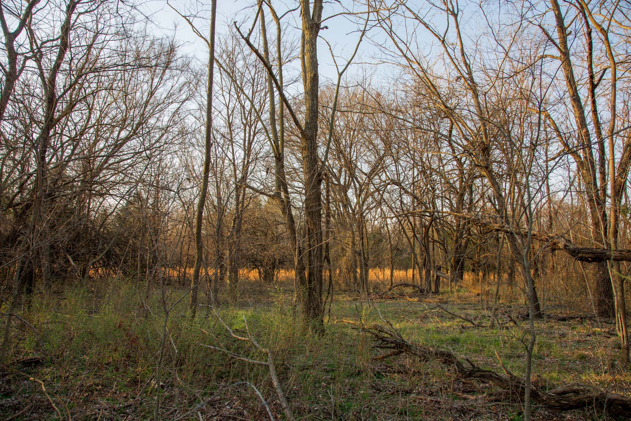 Eufaula Cove Tract 12 photo 12
