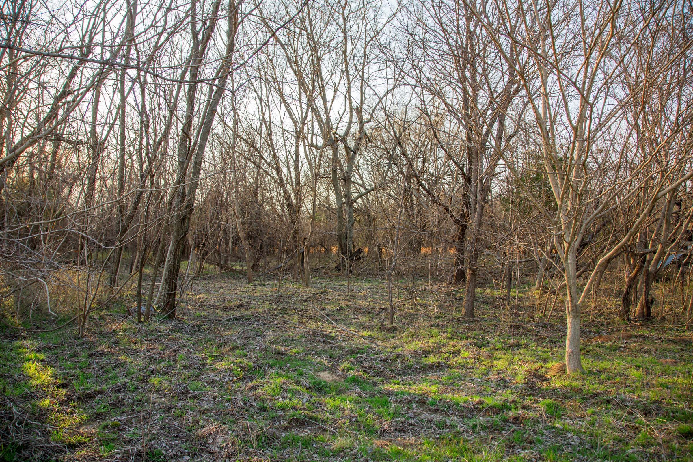 Eufaula Cove Tract 12 photo 14