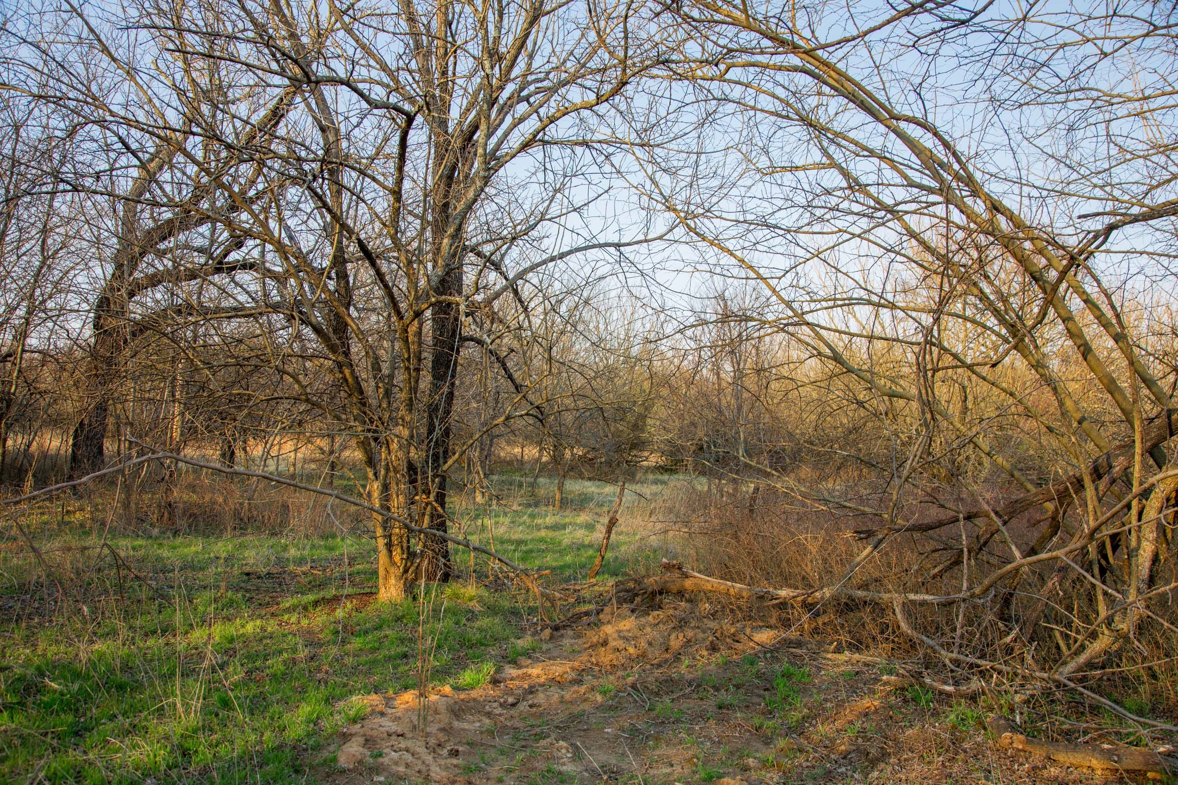 Eufaula Cove Tract 12 photo 15