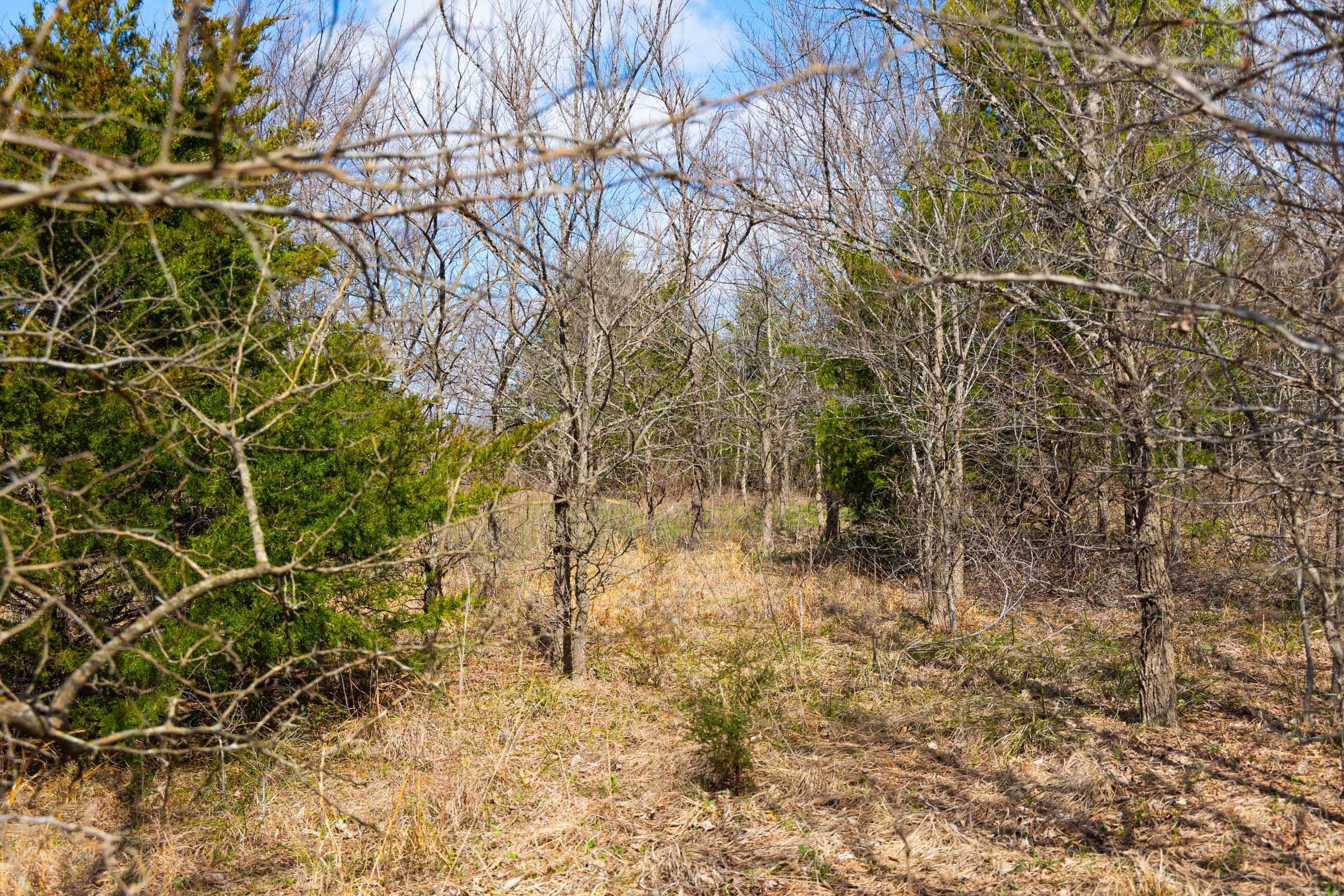 Reserves At Cattail Cove Phase I Tract 29 photo 18