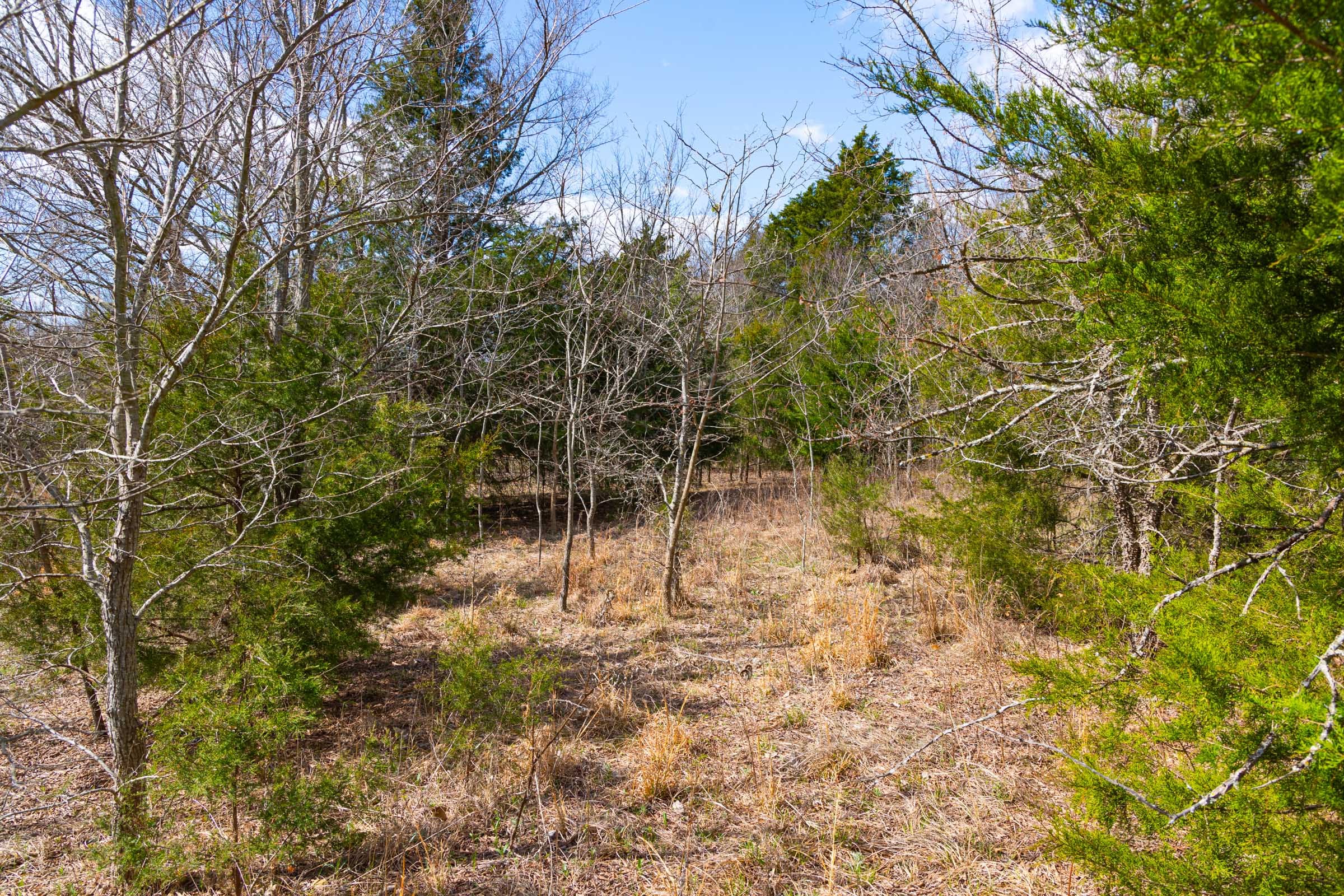 Reserves At Cattail Cove Phase I Tract 29 photo 16