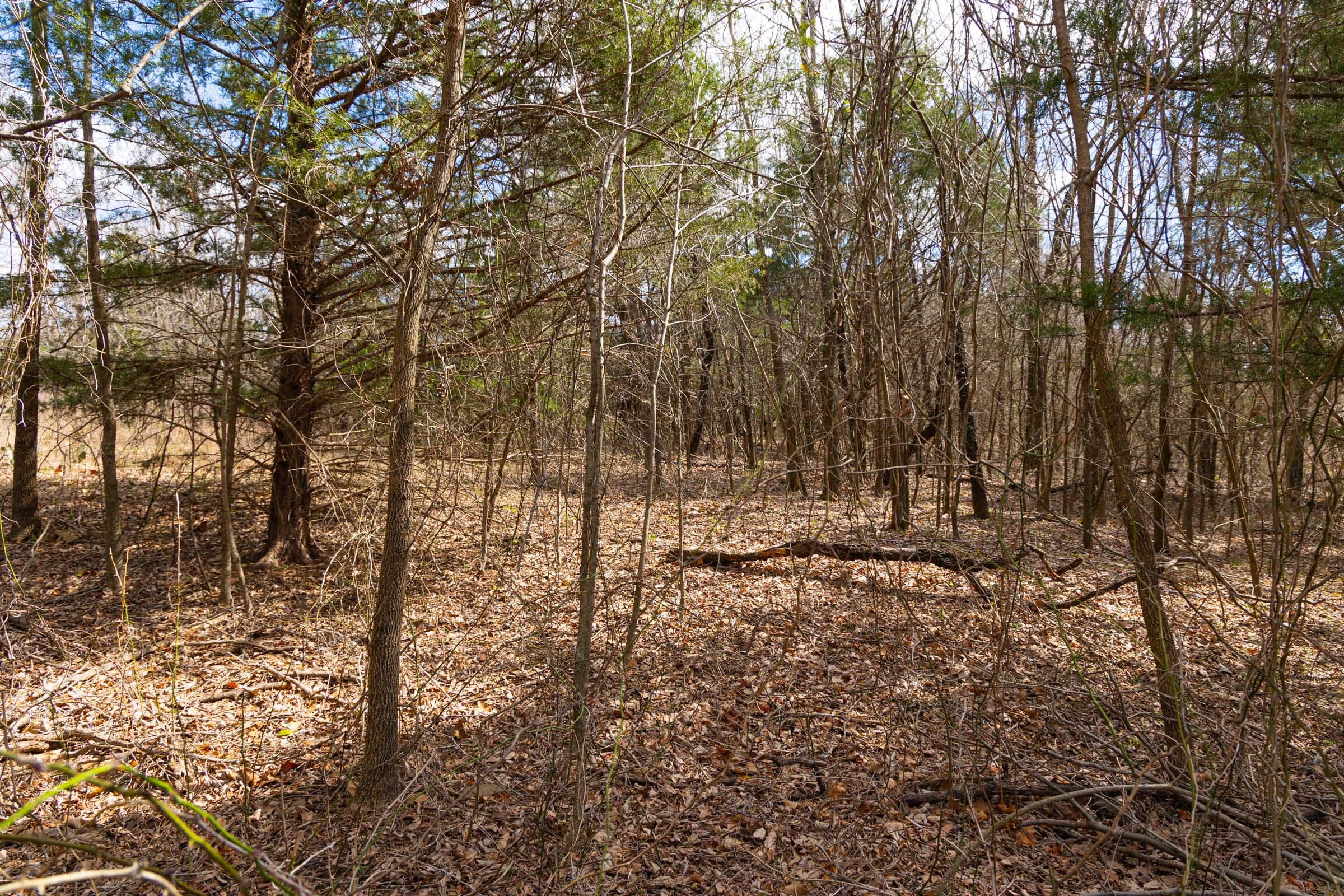 Reserves At Cattail Cove Phase I Tract 29 photo 15
