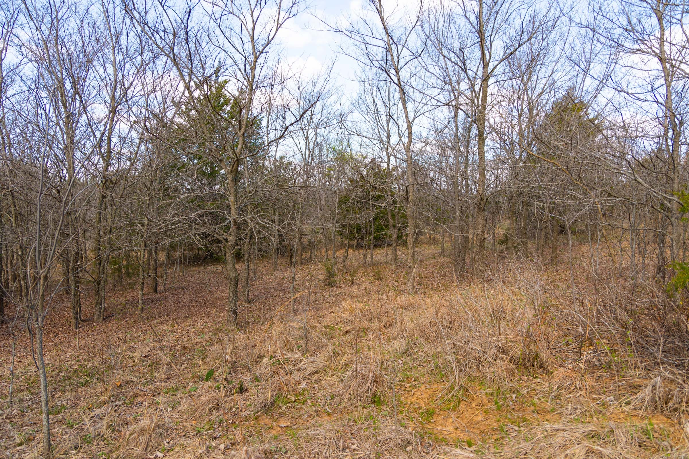 Reserves At Cattail Cove Phase I Tract 29 photo 9