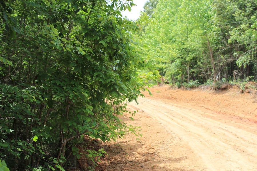 Bluebird Ranch Tract 24 photo 3