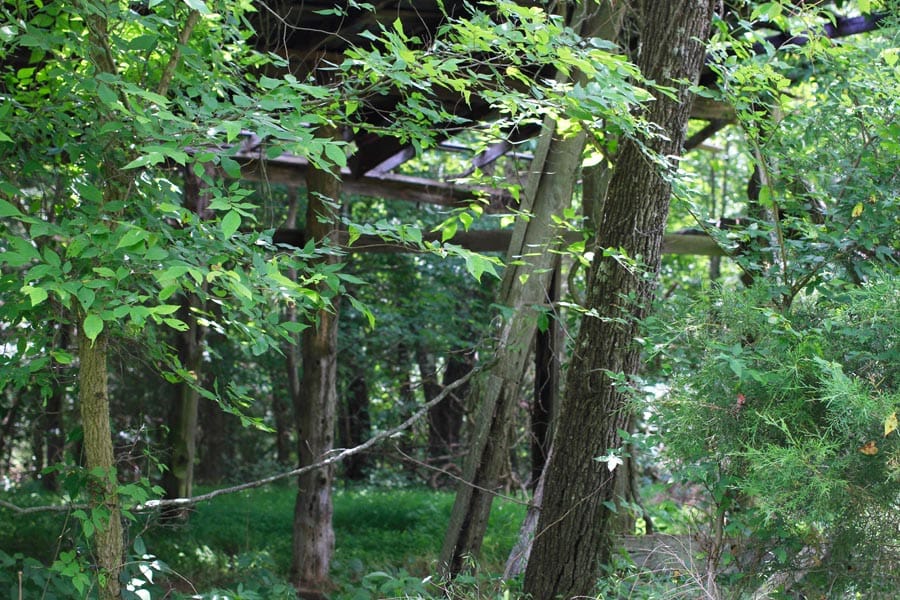 Bluebird Ranch Tract 24 photo 14
