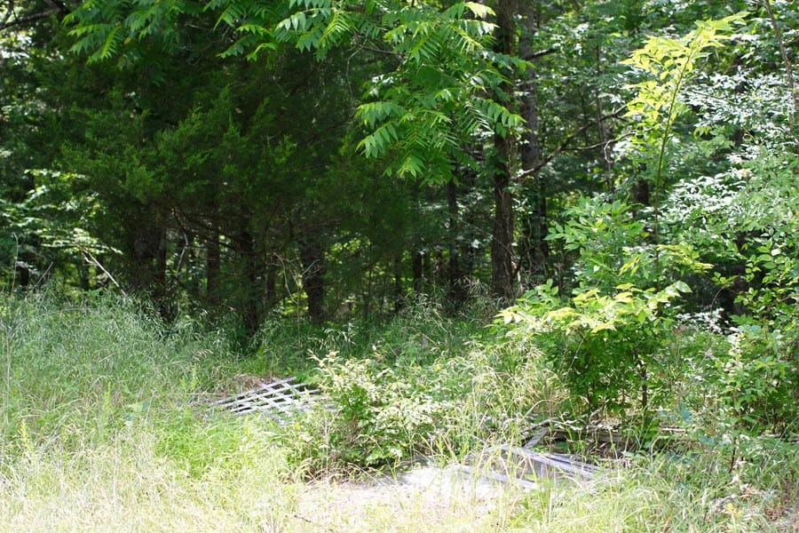 Bluebird Ranch Tract 24 photo 18