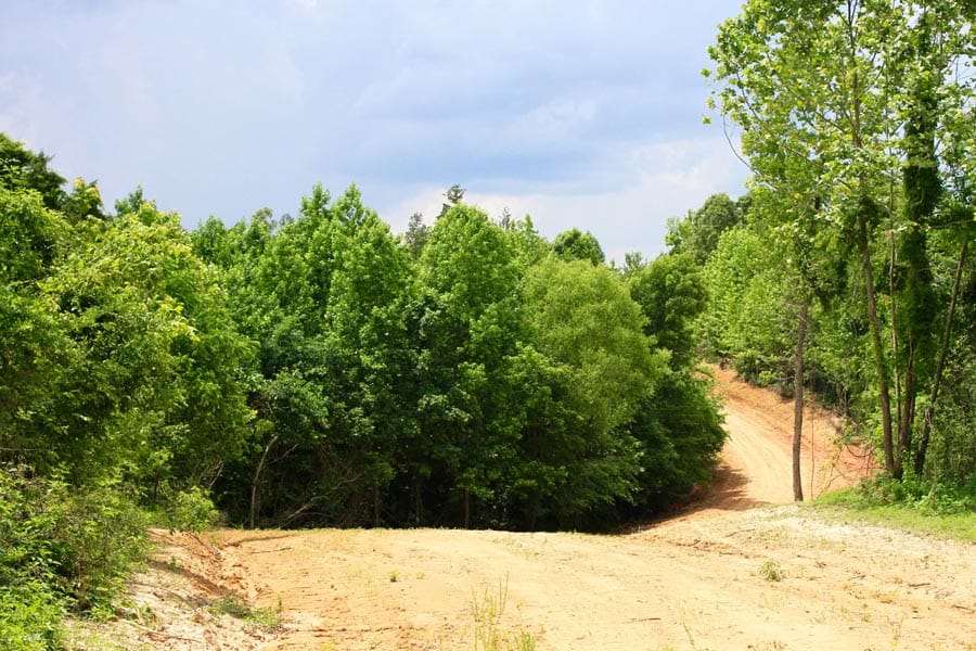 Bluebird Ranch Tract 24 photo 19