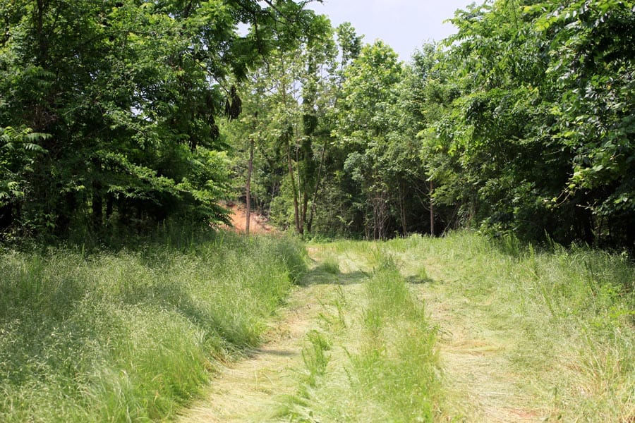 Bluebird Ranch Tract 24 photo 21