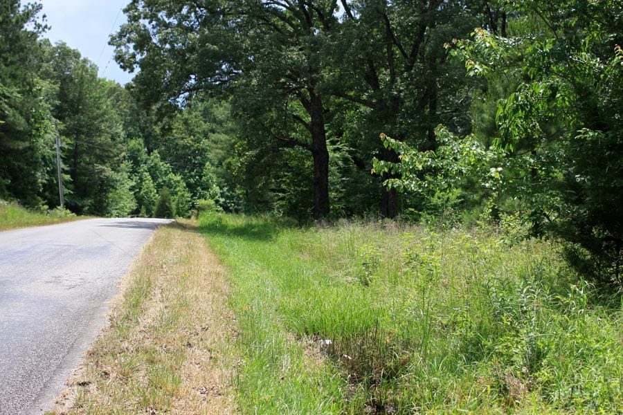 Bluebird Ranch Tract 24 photo 24