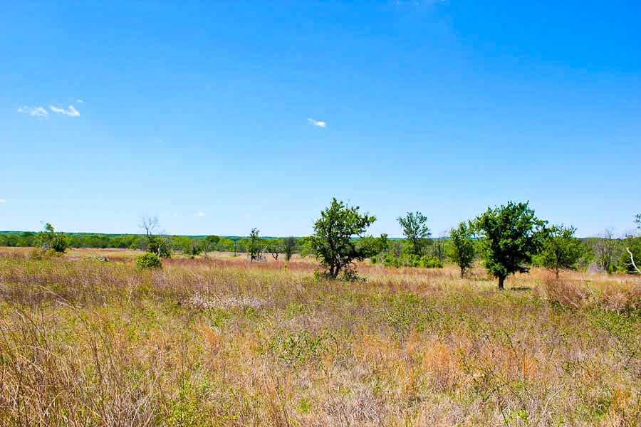 Saddlebrook Ranch Tract 3 photo 1
