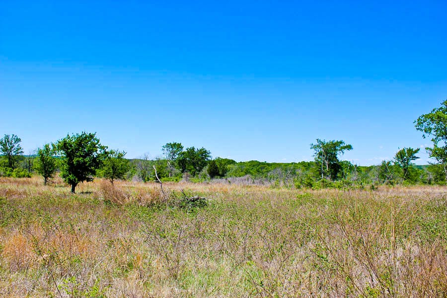 Saddlebrook Ranch Tract 3 photo 2