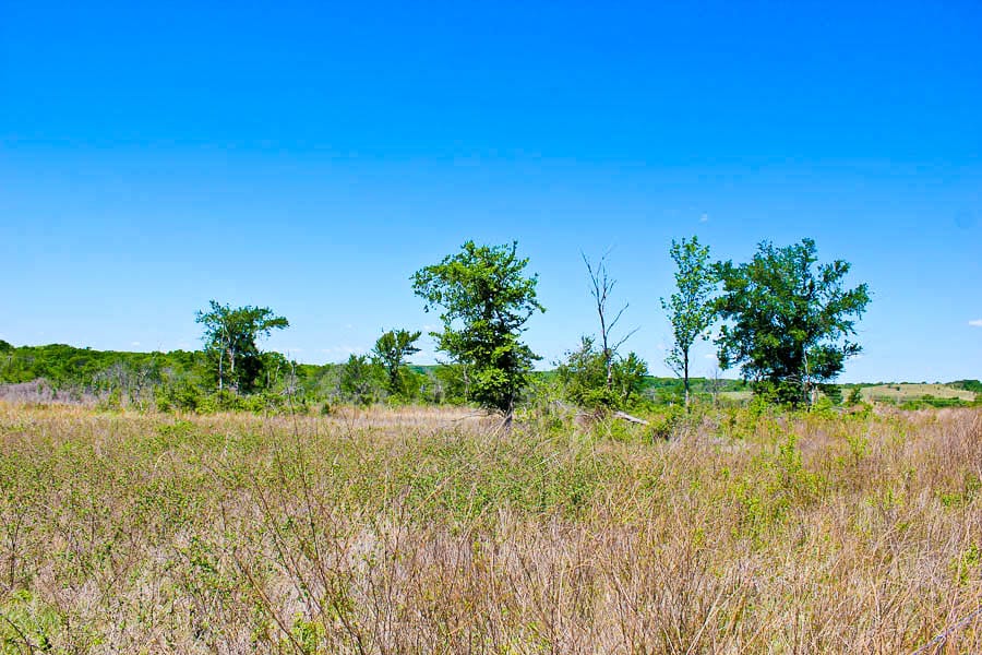 Saddlebrook Ranch Tract 3 photo 3