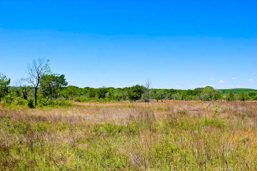 Saddlebrook Ranch Tract 3 photo 4