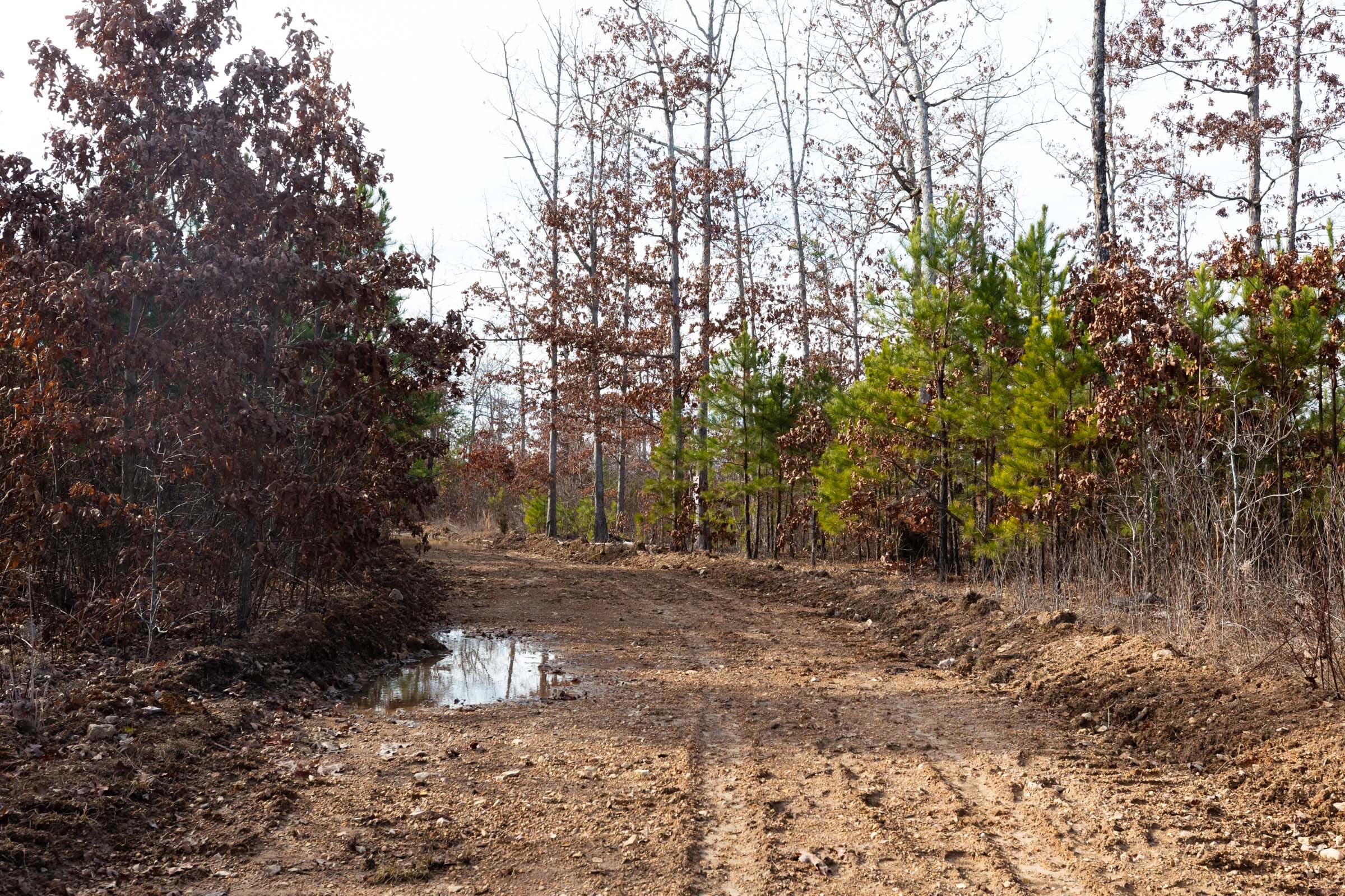 Windy Ridge Tract 2 photo 10