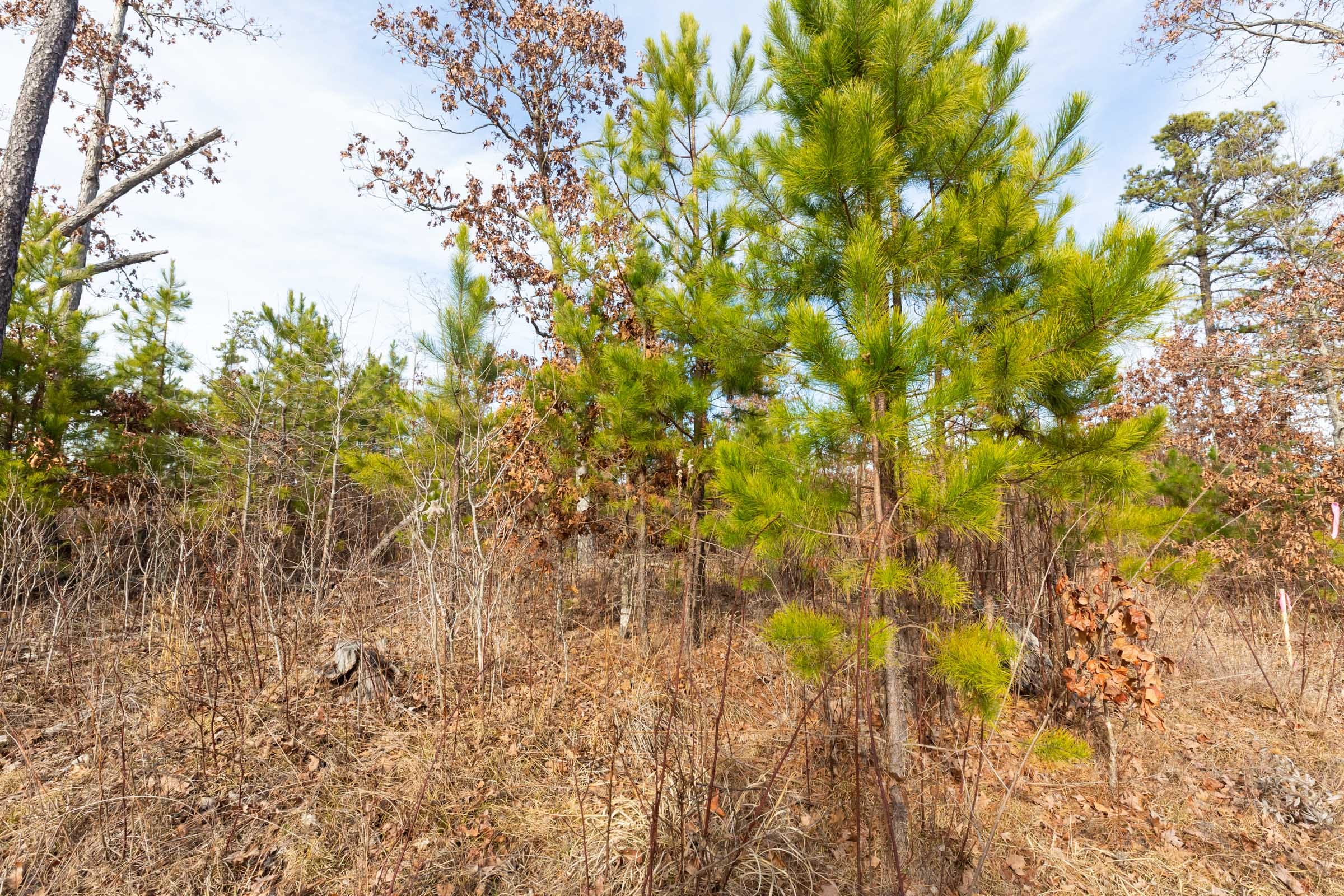 Windy Ridge Tract 2 photo 2