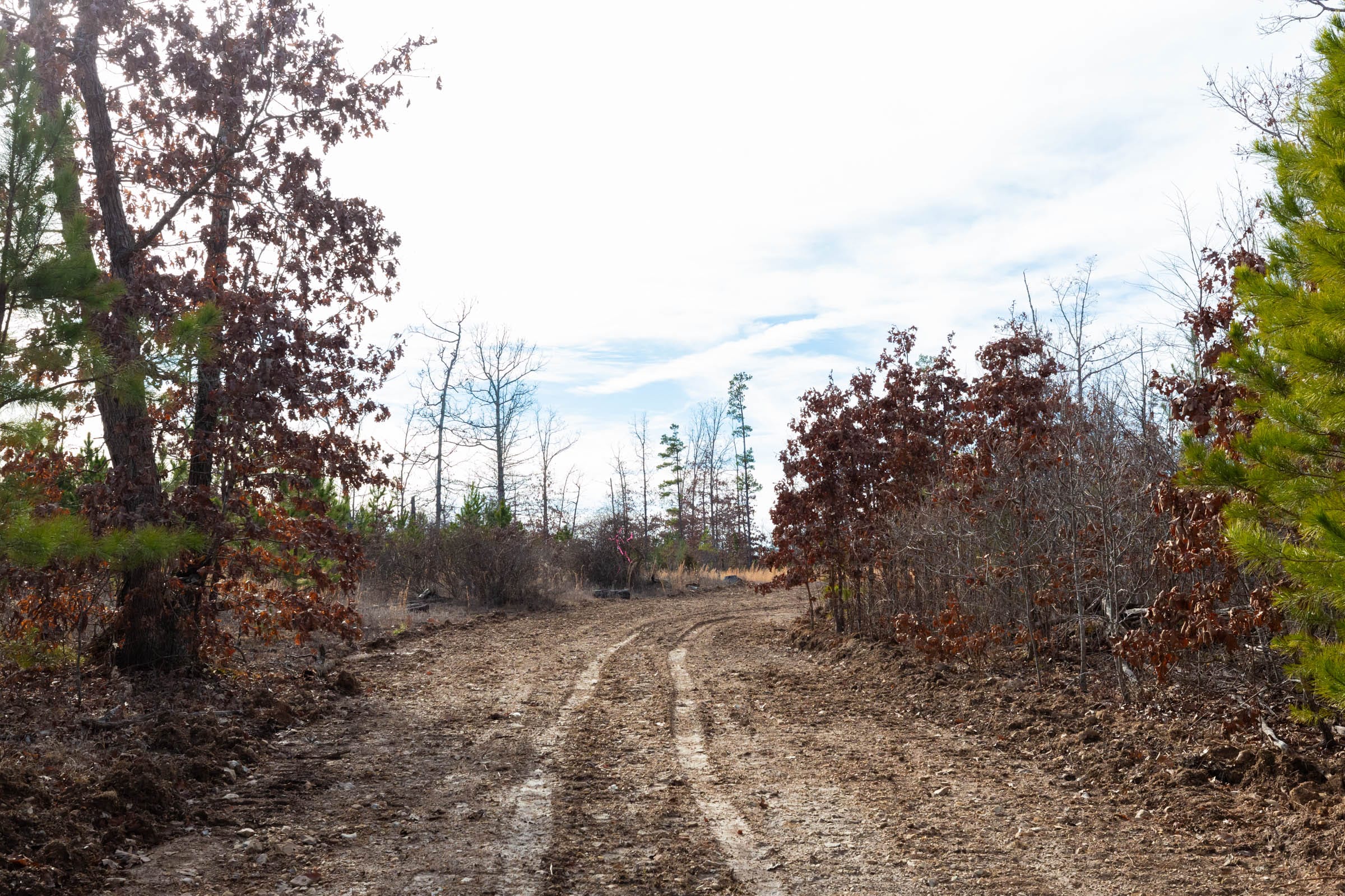 Windy Ridge Tract 2 photo 5