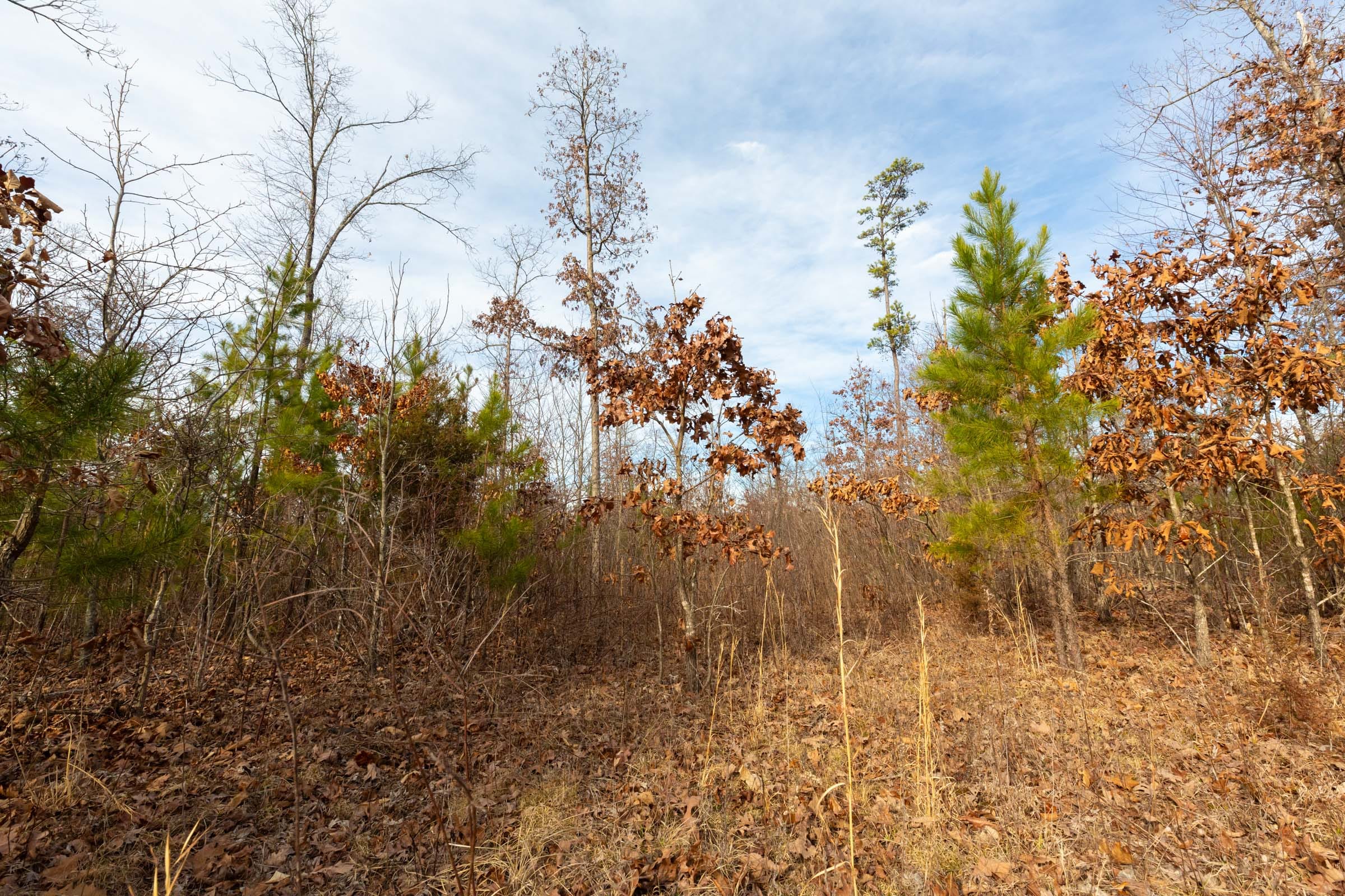 Windy Ridge Tract 2 photo 14