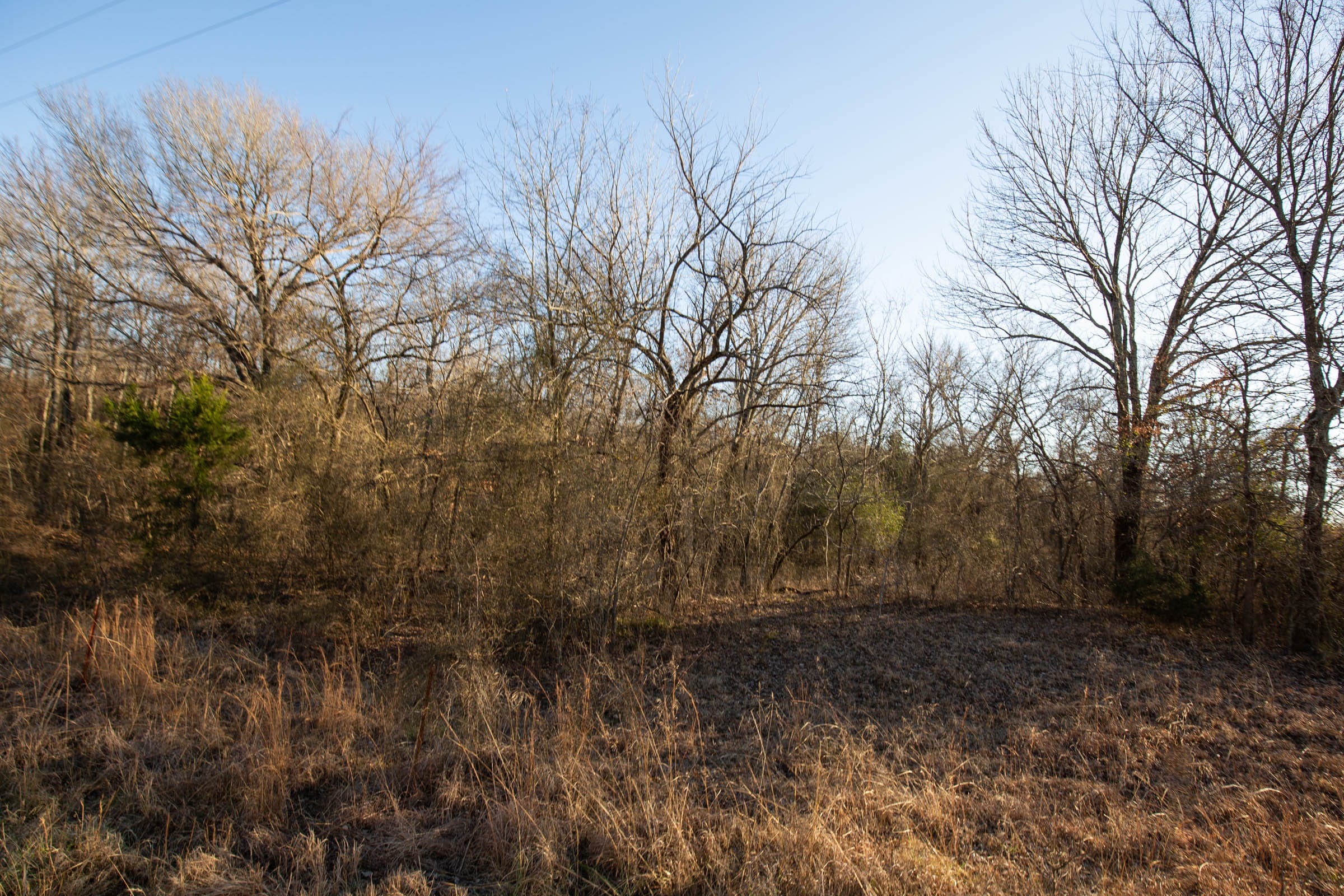 Painted Horse Tract 44 photo 4