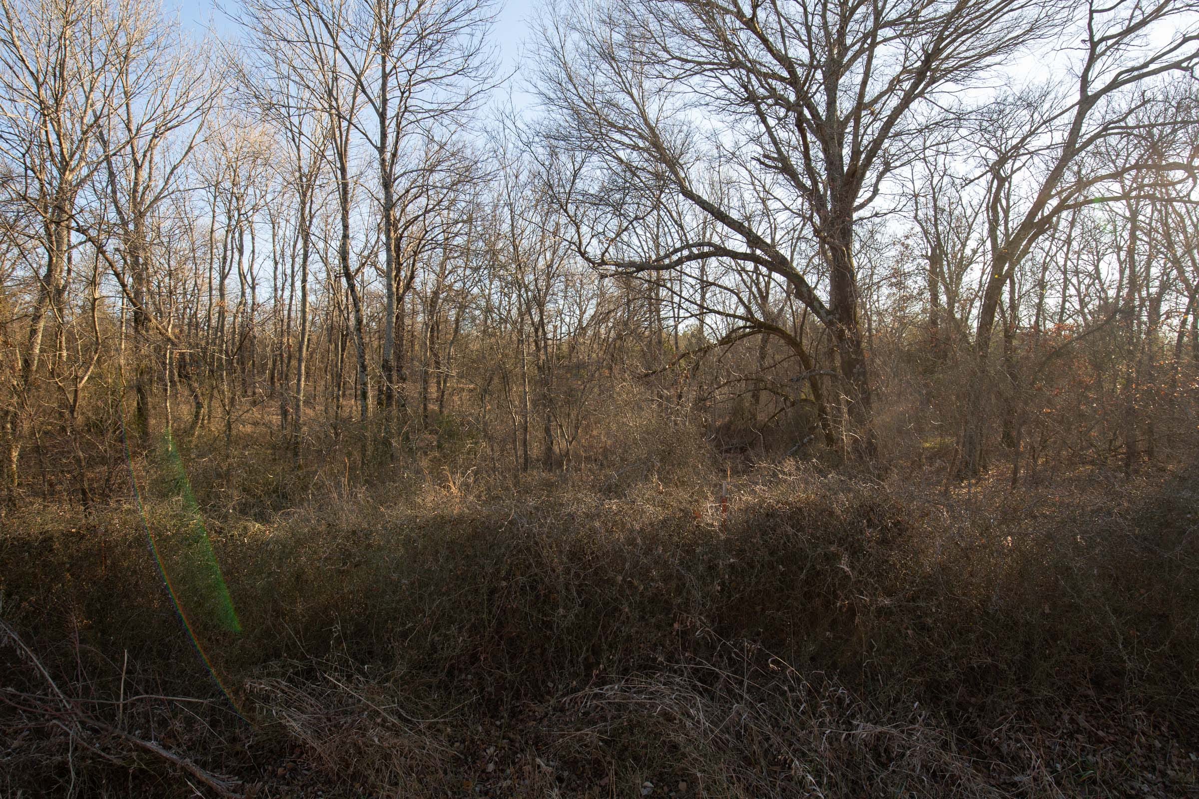 Painted Horse Tract 44 photo 6