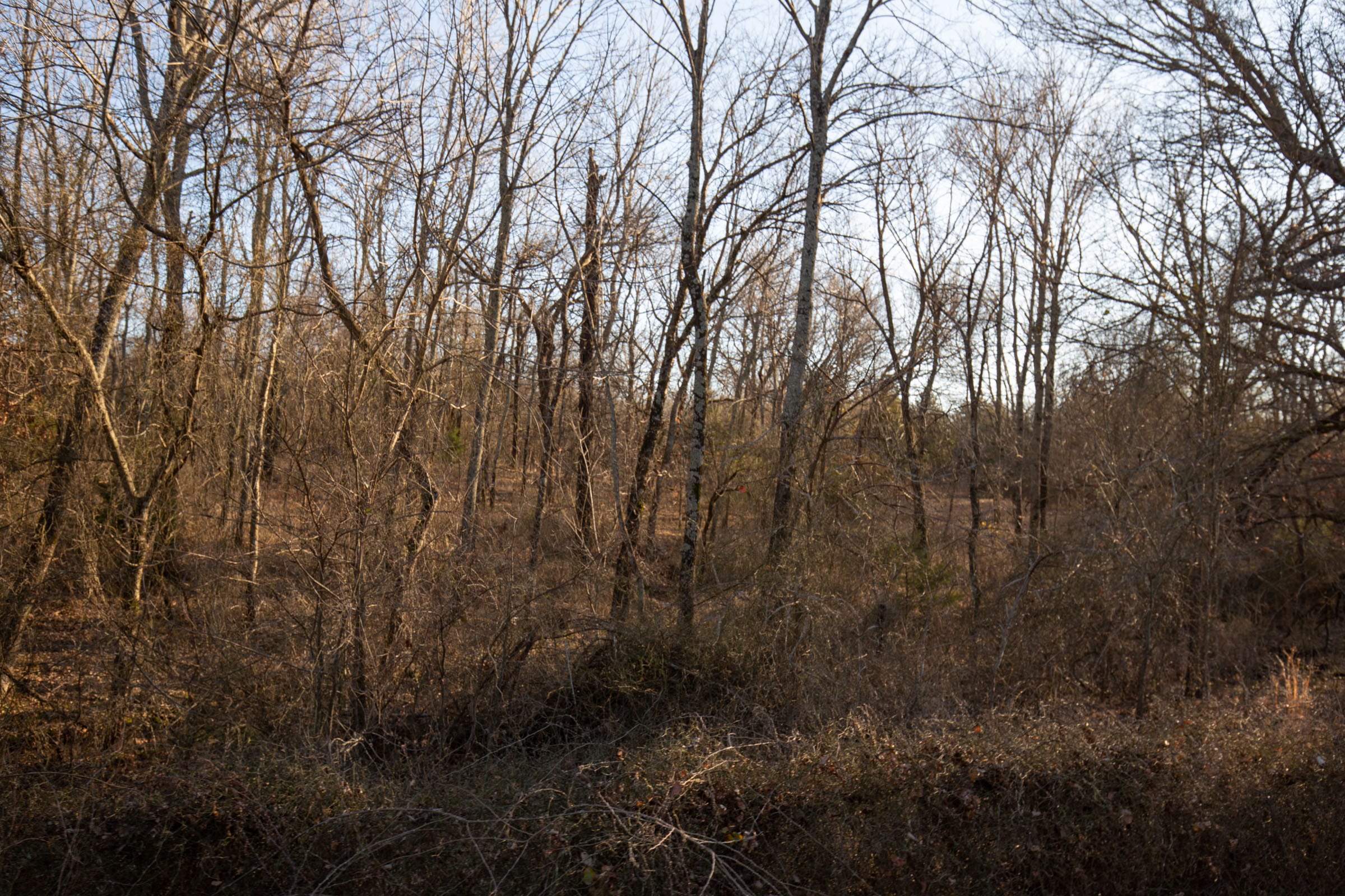 Painted Horse Tract 44 photo 7