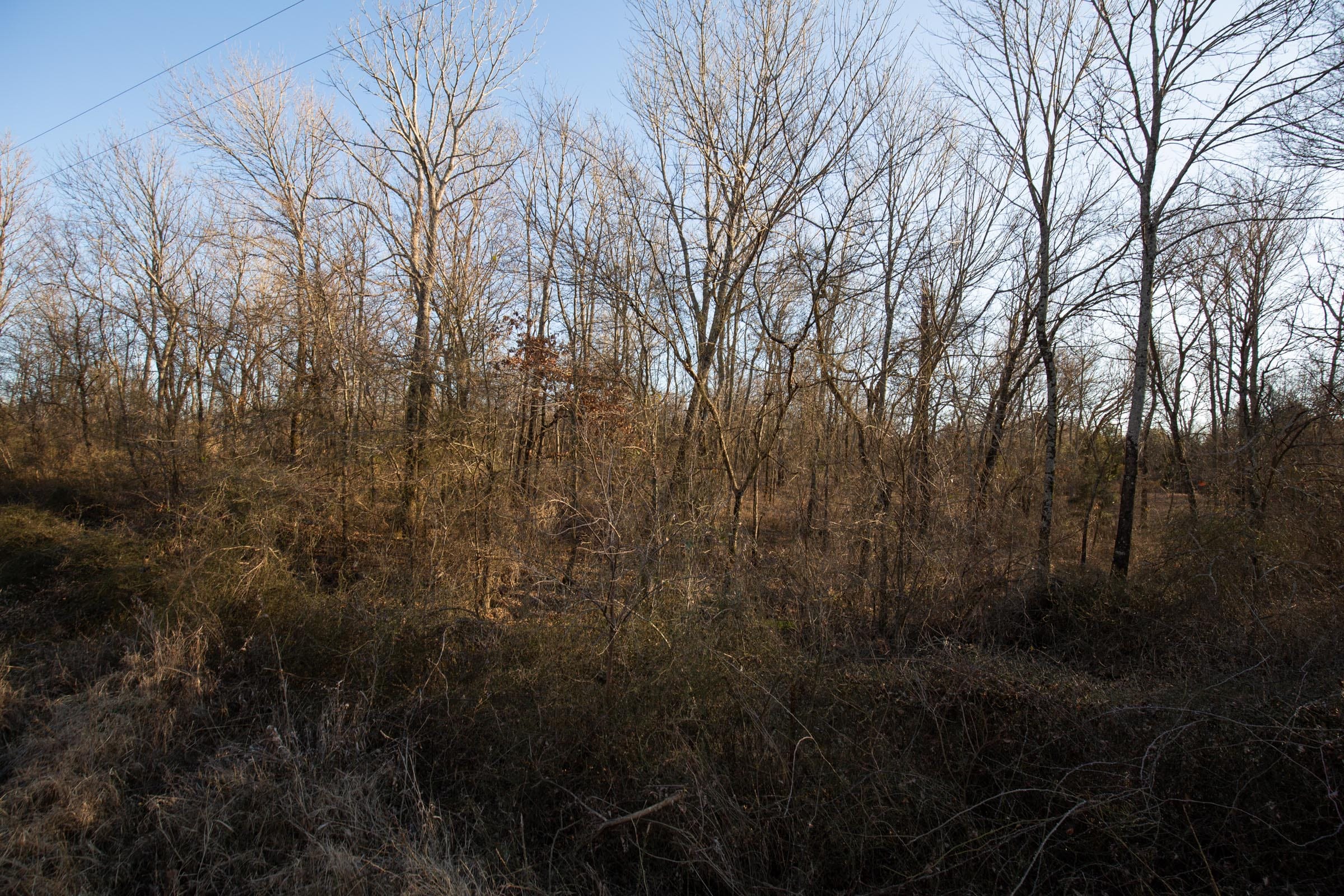 Painted Horse Tract 44 photo 9