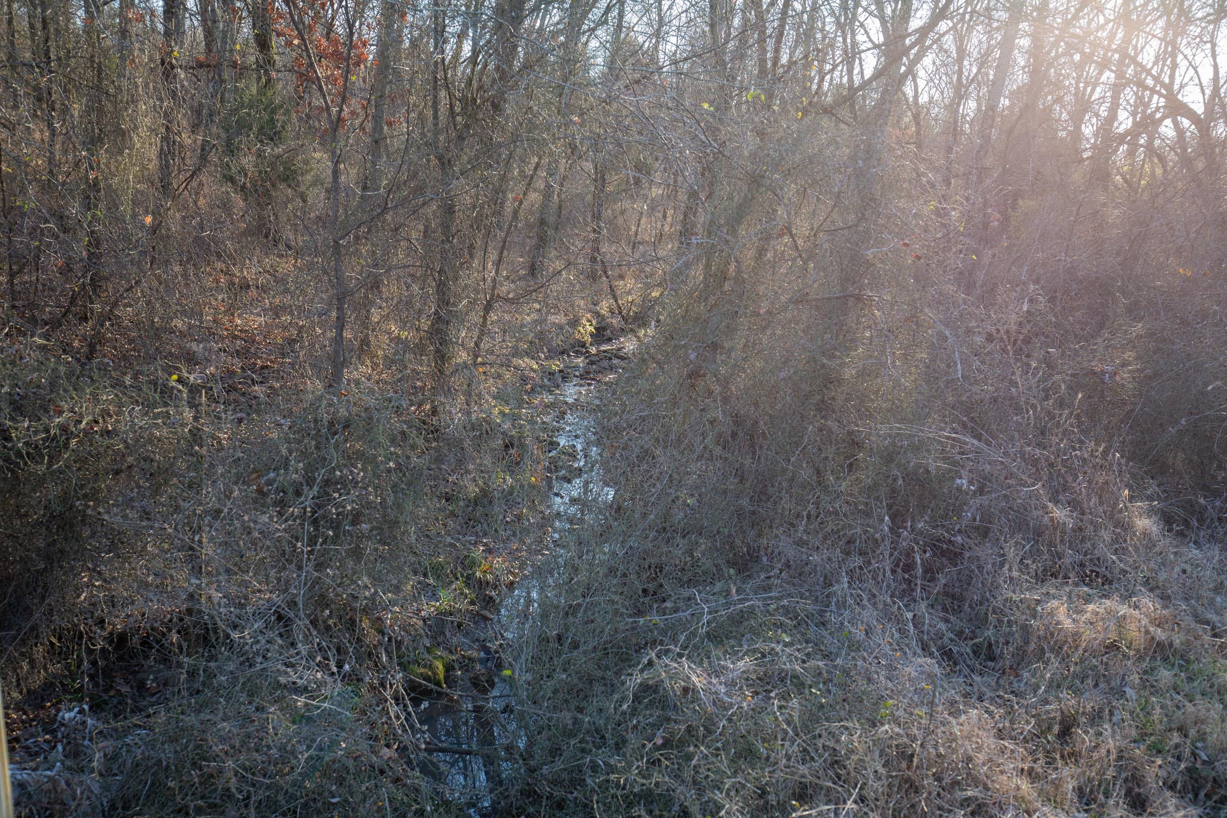 Painted Horse Tract 44 photo 2