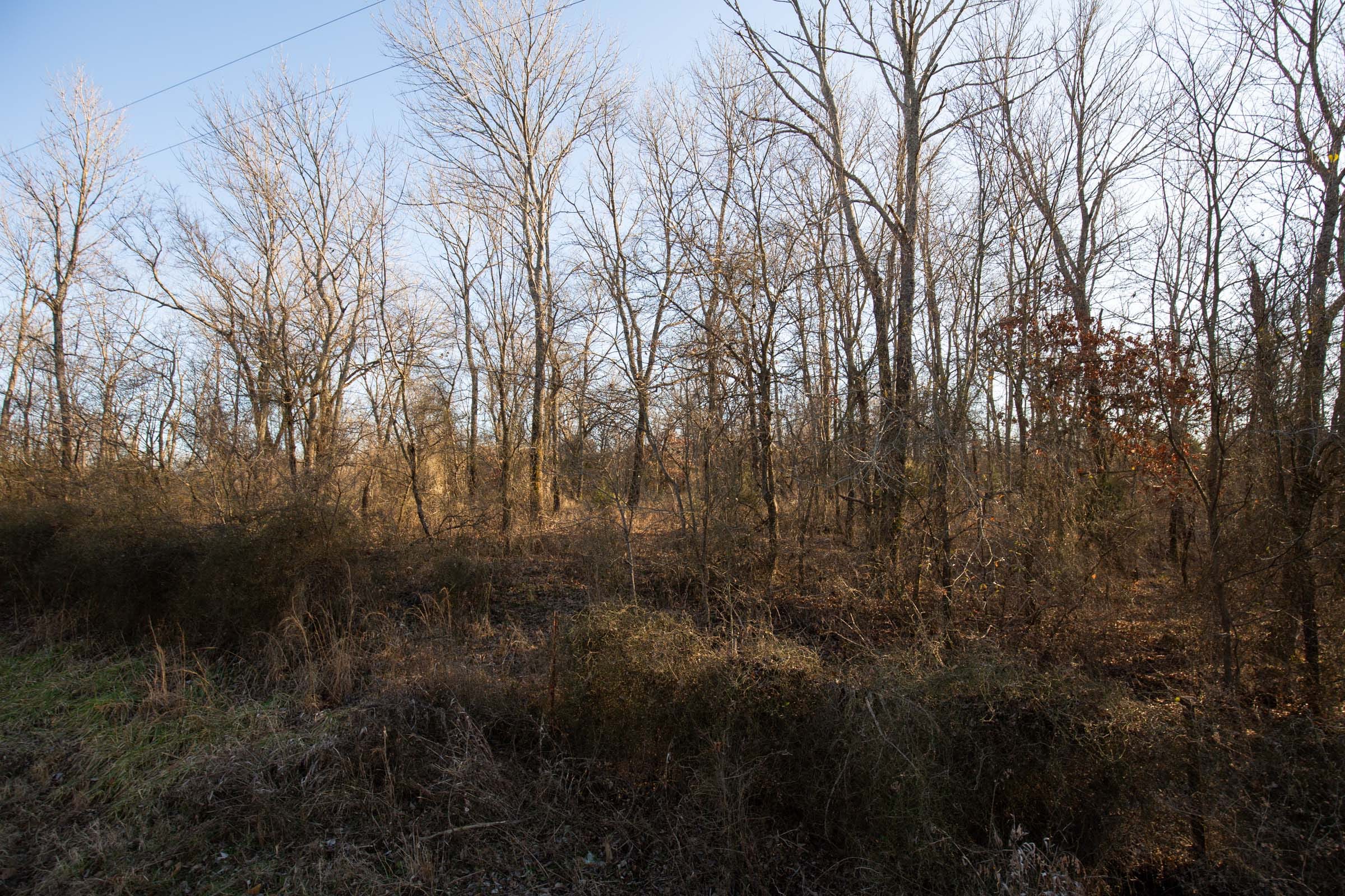 Painted Horse Tract 44 photo 10