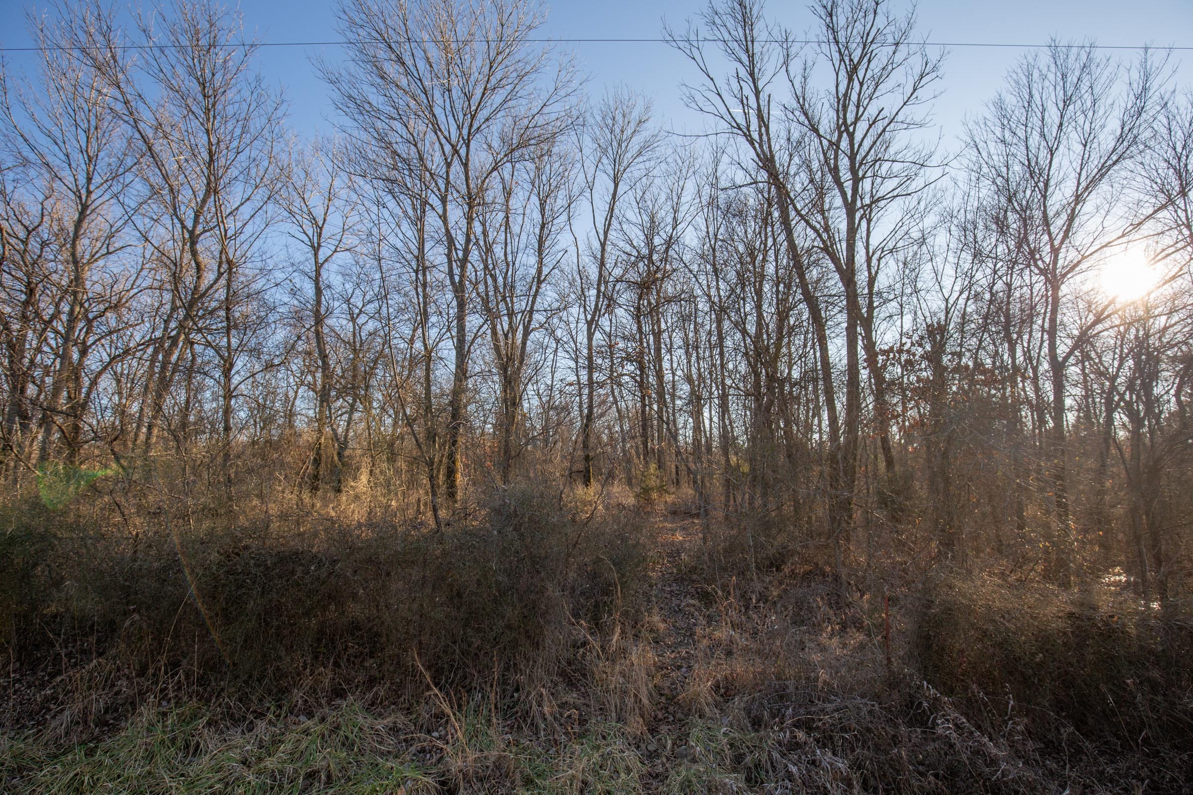 Painted Horse Tract 44 photo 11