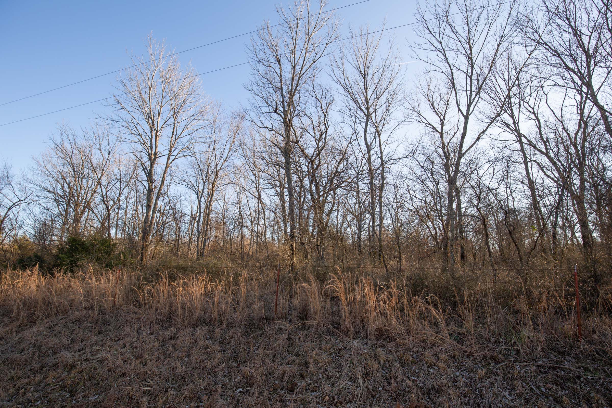 Painted Horse Tract 44 photo 12