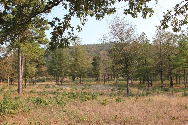 Lake View Ranch Tract 28 photo 1