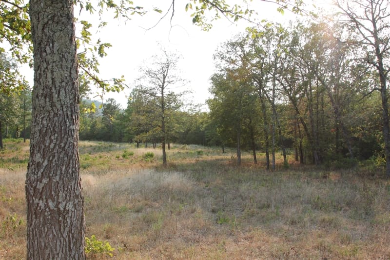 Lake View Ranch Tract 28 photo 2